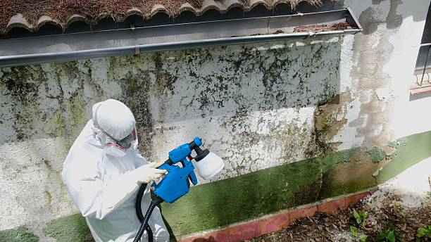 Trusted Mold Remediation service in Thurmont, MD - Cheap Mold Removal